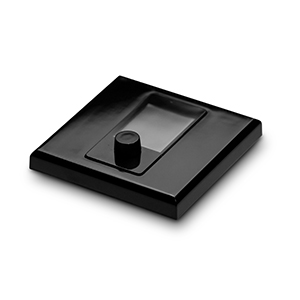 WPN1 Networked Wall Panel Controller